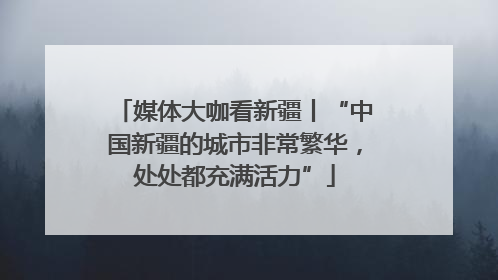 媒体大咖看新疆丨“中国新疆的城市非常繁华，处处都充满活力”