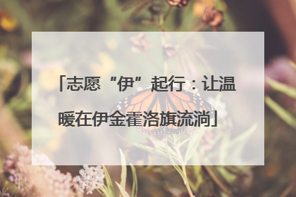 志愿“伊”起行：让温暖在伊金霍洛旗流淌