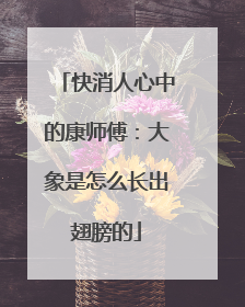 快消人心中的康师傅：大象是怎么长出翅膀的