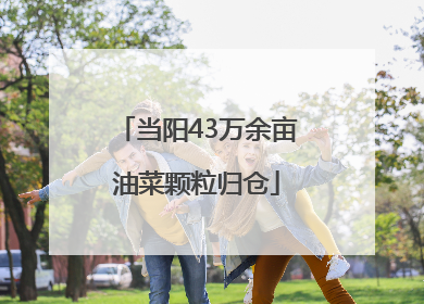 当阳43万余亩油菜颗粒归仓