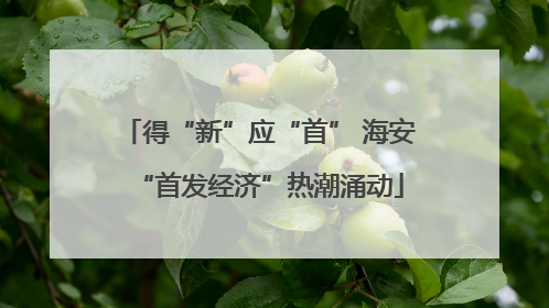得“新”应“首” 海安“首发经济”热潮涌动