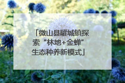 微山县驩城镇探索“林地+金蝉”生态种养新模式