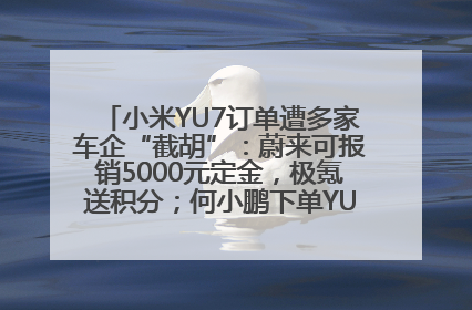 小米YU7订单遭多家车企“截胡”：蔚来可报销5000元定金，极氪送积分；何小鹏下单YU7，喊话雷军早点交付