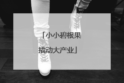 小小碧根果撬动大产业