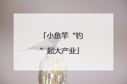 小鱼竿“钓”起大产业