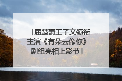 屈楚萧王子文领衔主演《有朵云像你》剧组亮相上影节