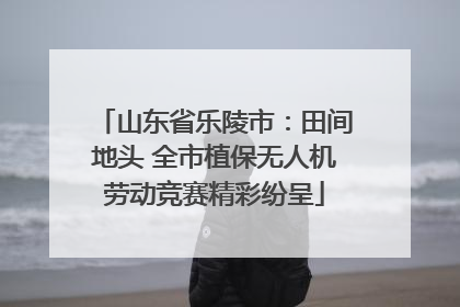 山东省乐陵市：田间地头 全市植保无人机劳动竞赛精彩纷呈