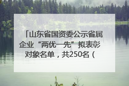 山东省国资委公示省属企业“两优一先”拟表彰对象名单，共250名（个）党员和党组织