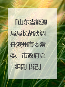 山东省能源局局长胡薄调任滨州市委常委、市政府党组副书记