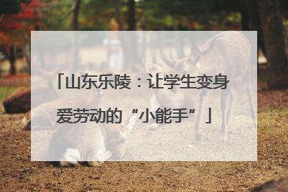 山东乐陵：让学生变身爱劳动的“小能手”