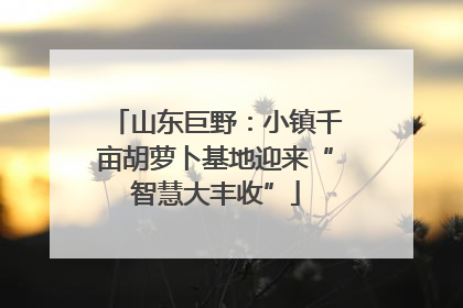 山东巨野：小镇千亩胡萝卜基地迎来“智慧大丰收”