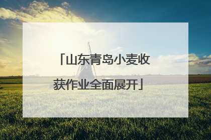 山东青岛小麦收获作业全面展开