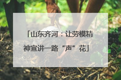 山东齐河：让劳模精神宣讲一路“声”花