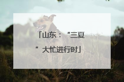 山东：“三夏”大忙进行时