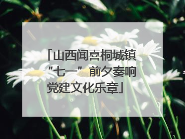 山西闻喜桐城镇“七一”前夕奏响党建文化乐章