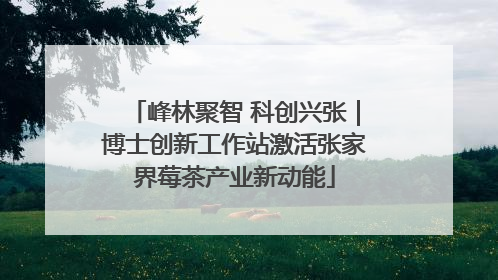 峰林聚智 科创兴张｜博士创新工作站激活张家界莓茶产业新动能