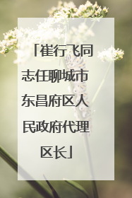 崔行飞同志任聊城市东昌府区人民政府代理区长