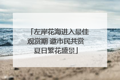 左岸花海进入最佳观赏期 邀市民共赏夏日繁花盛景