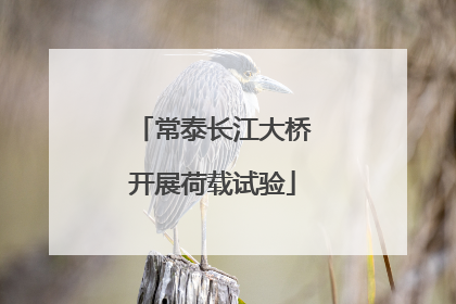 常泰长江大桥开展荷载试验