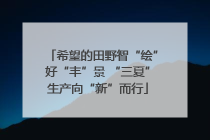 希望的田野智“绘”好“丰”景 “三夏”生产向“新”而行