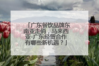 广东餐饮品牌东南亚走俏，马来西亚-广东经贸合作有哪些新机遇？