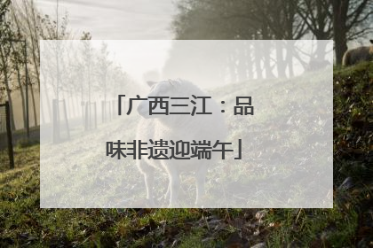 广西三江：品味非遗迎端午