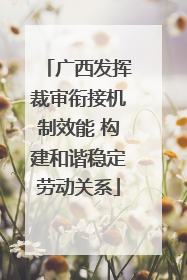 广西发挥裁审衔接机制效能 构建和谐稳定劳动关系