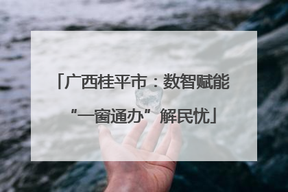 广西桂平市：数智赋能“一窗通办”解民忧