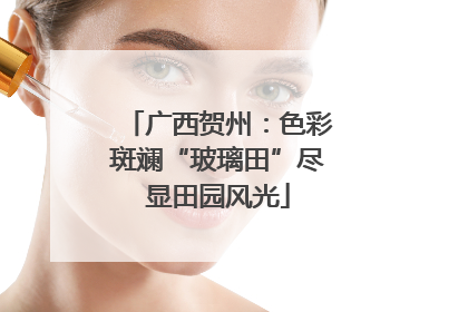 广西贺州：色彩斑斓“玻璃田”尽显田园风光