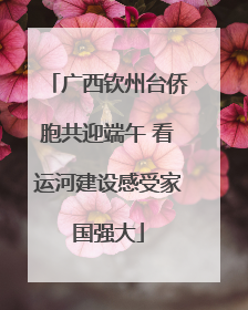 广西钦州台侨胞共迎端午 看运河建设感受家国强大