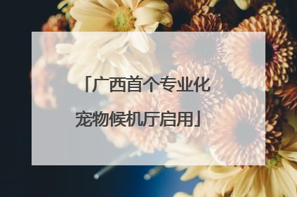 广西首个专业化宠物候机厅启用
