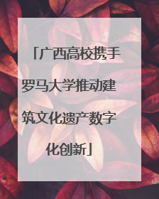广西高校携手罗马大学推动建筑文化遗产数字化创新