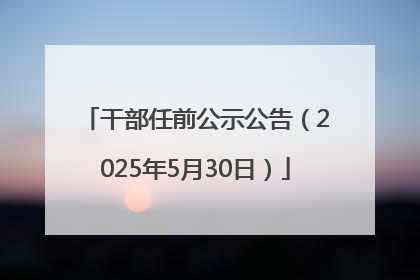 干部任前公示公告（2025年5月30日）