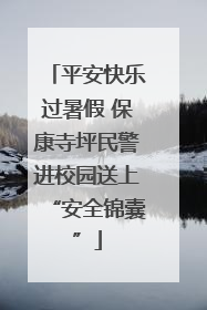 平安快乐过暑假 保康寺坪民警进校园送上“安全锦囊”