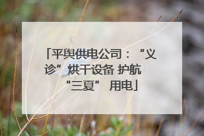 平舆供电公司：“义诊”烘干设备 护航 “三夏” 用电