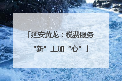 延安黄龙：税费服务“新”上加“心”