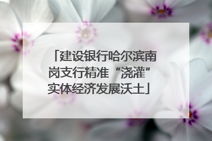 建设银行哈尔滨南岗支行精准“浇灌”实体经济发展沃土