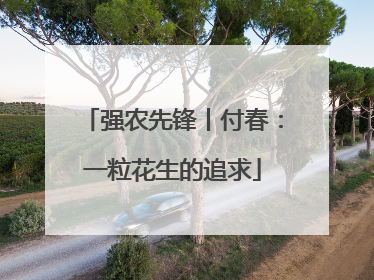 强农先锋丨付春：一粒花生的追求