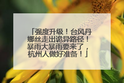 强度升级！台风丹娜丝走出诡异路径！暴雨大暴雨要来了，杭州人做好准备！