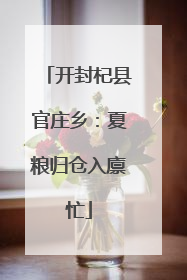 开封杞县官庄乡：夏粮归仓入廪忙
