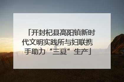 开封杞县高阳镇新时代文明实践所与妇联携手助力“三夏”生产