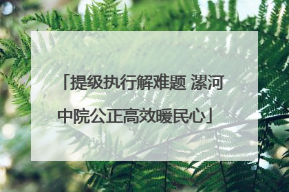 提级执行解难题 漯河中院公正高效暖民心
