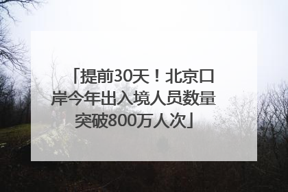 提前30天！北京口岸今年出入境人员数量突破800万人次