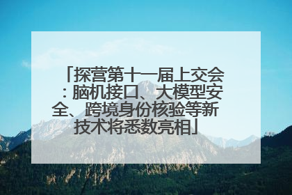 探营第十一届上交会：脑机接口、大模型安全、跨境身份核验等新技术将悉数亮相