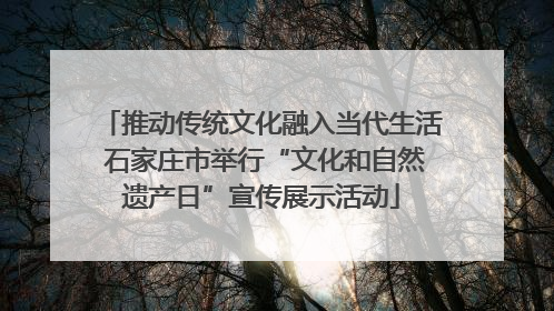 推动传统文化融入当代生活 石家庄市举行“文化和自然遗产日”宣传展示活动