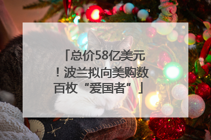 总价58亿美元！波兰拟向美购数百枚“爱国者”
