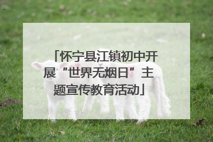 怀宁县江镇初中开展“世界无烟日”主题宣传教育活动