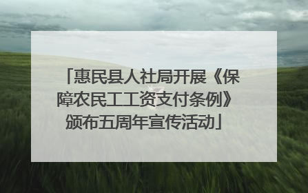 惠民县人社局开展《保障农民工工资支付条例》颁布五周年宣传活动