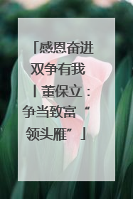 感恩奋进 双争有我丨董保立：争当致富“领头雁”