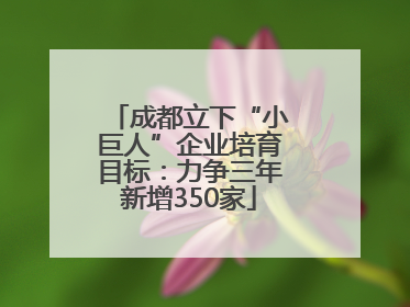成都立下“小巨人”企业培育目标：力争三年新增350家